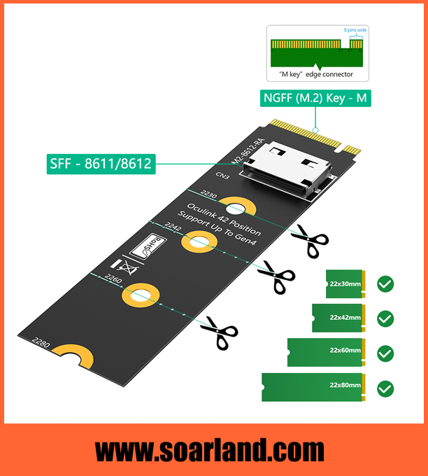 OCuLink SFF-8612 to M.2 Adapter